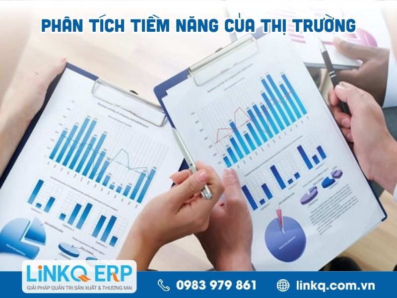 Phân tích tiềm năng của thị trường
