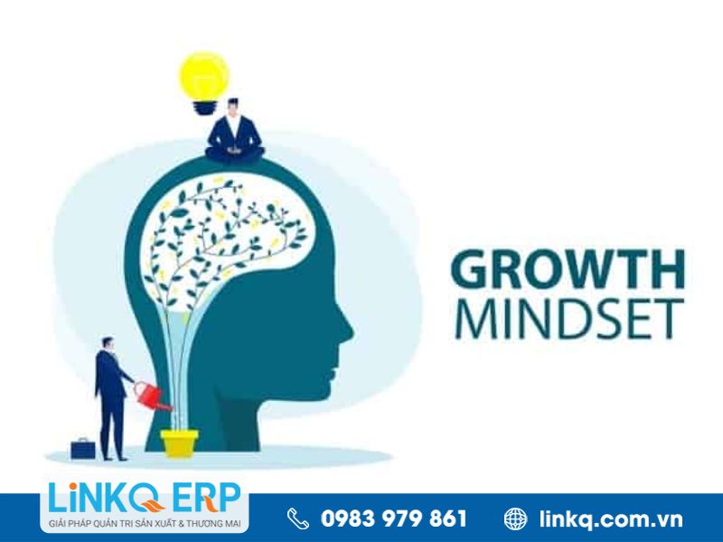Tư duy cầu tiến (Growth mindset) là gì?