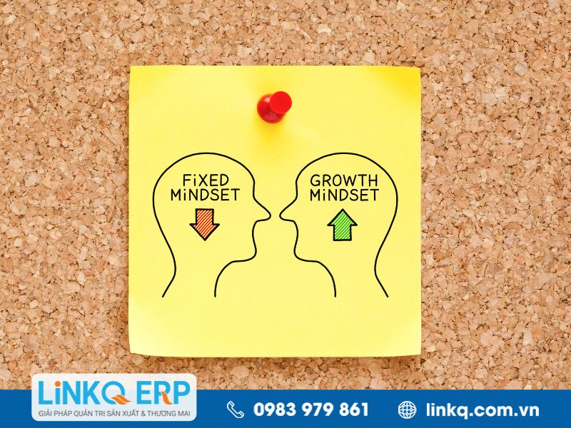 Lợi ích khi sở hữu tư duy cầu tiến growth mindset đối với nhà lãnh đạo
