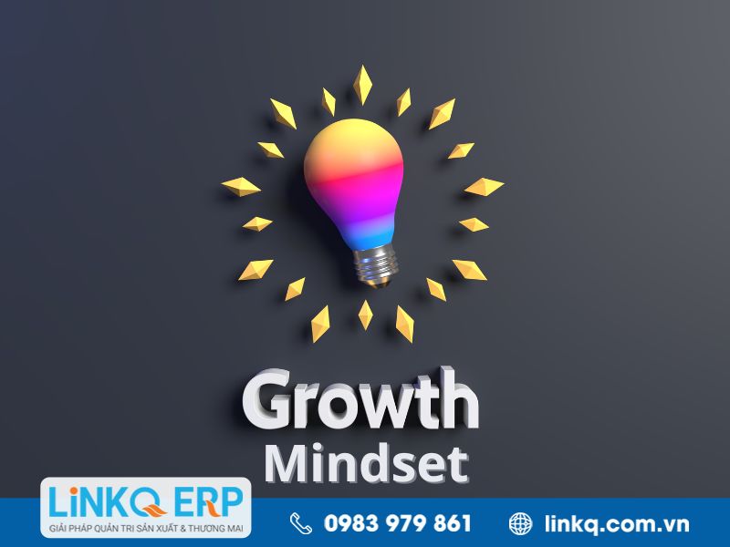 Ví dụ về tư duy cầu tiến (growth mindset)