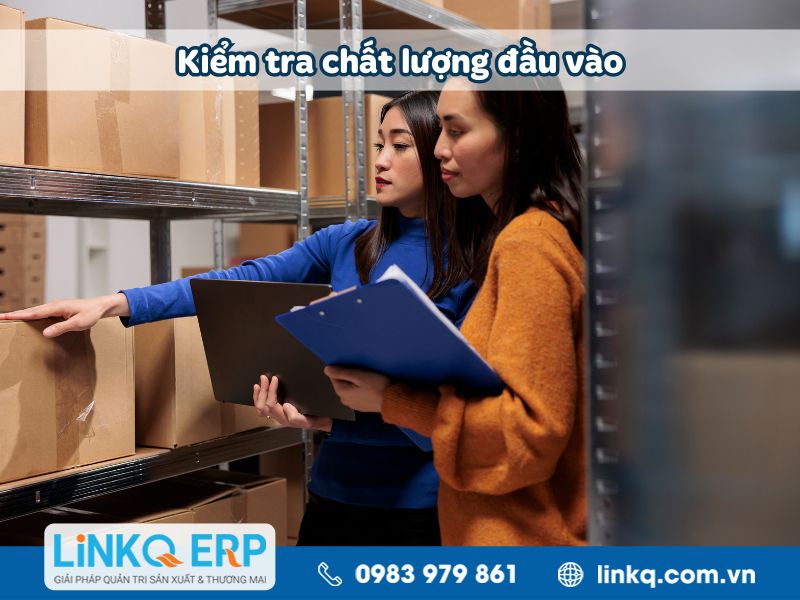 Kiểm tra chất lượng đầu vào