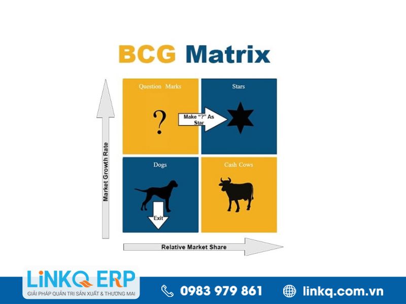 Mặt trái của ma trận BCG 