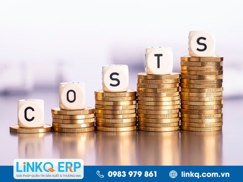 Cơ cấu chi phí (Cost Structure)