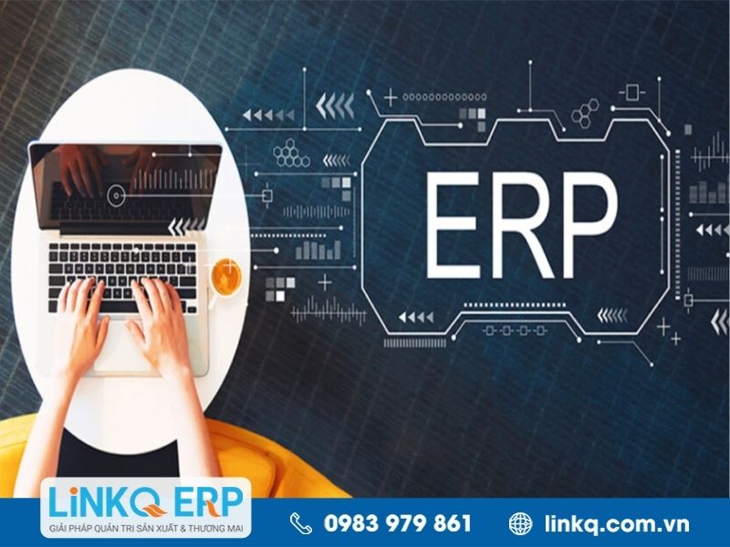 Phân hệ ERP là gì?