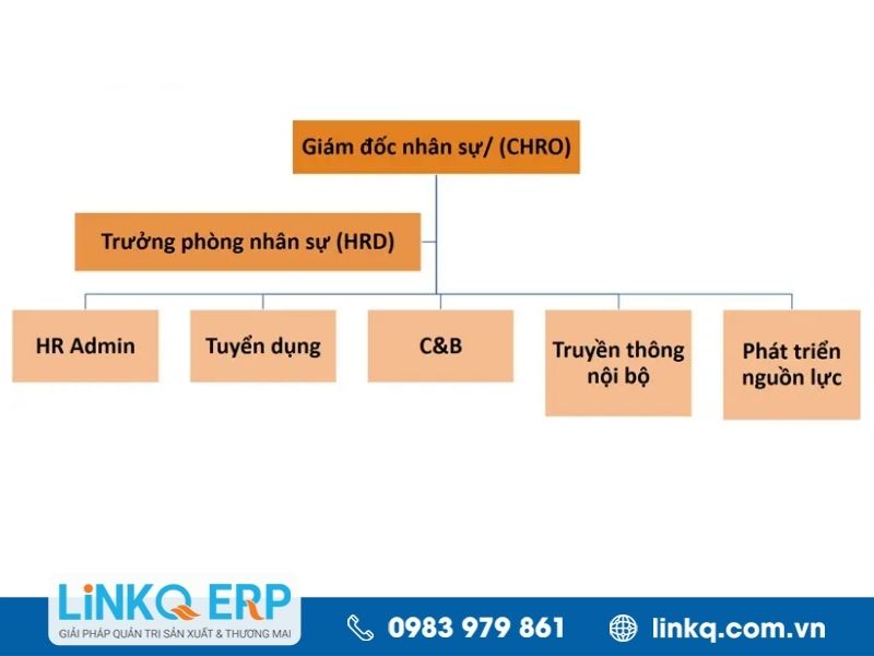 Sơ đồ mẫu dành cho phòng nhân sự (HR)