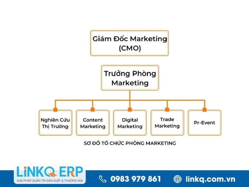 Cơ cấu tổ chức phòng Marketing