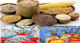 Cơ Hội Và Thách Thức Đan Xen Trong Xuất Khẩu Lương Thực - Thực Phẩm