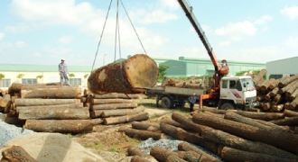Xuất khẩu gỗ năm 2019 dự báo đạt kim ngạch cao nhất từ trước đến nay