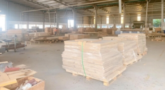 Doanh Nghiệp Ngành Gỗ Lạc Quan Vào Khả Năng Tăng Trưởng