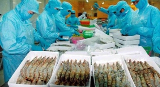 Tận Dụng Nhiều Cơ Hội Tăng Trưởng  Xuất Khẩu Tôm