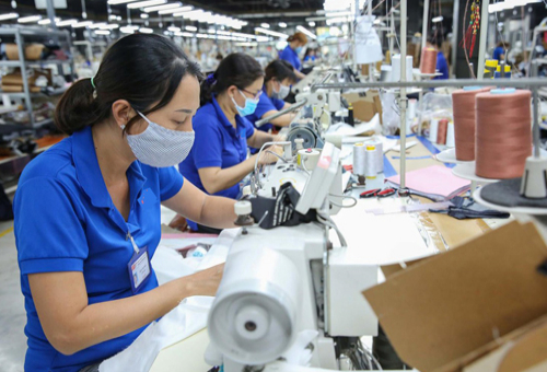 Vai trò của ngành may mặc