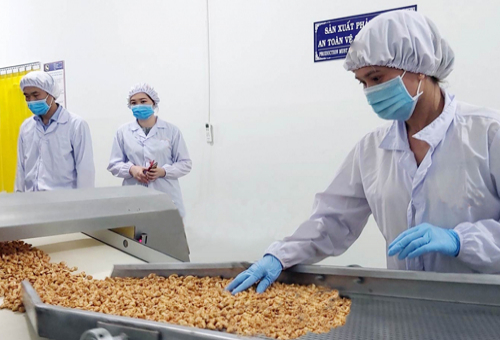 Giải pháp quản lý kho ngành hạt điều