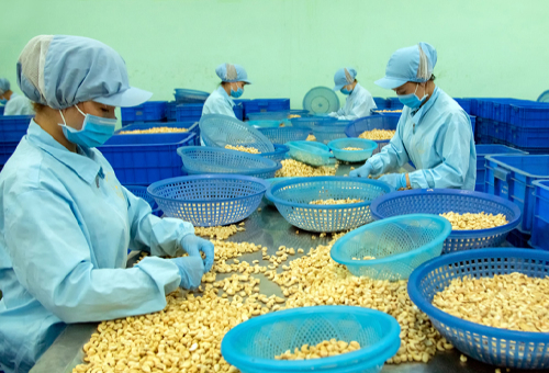 Giải pháp nâng cao cạnh tranh ngành hạt điều