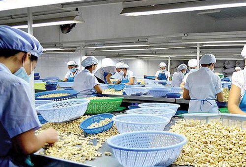 Lợi Ích Của Tự Động Hoá Trong Ngành Điều
