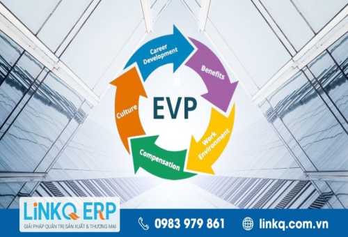 EVP là gì? Cách xây dựng EVP thu hút nhân sự tài năng