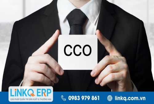 CCO là gì? Các vị trí C-suite và vai trò trong doanh nghiệp