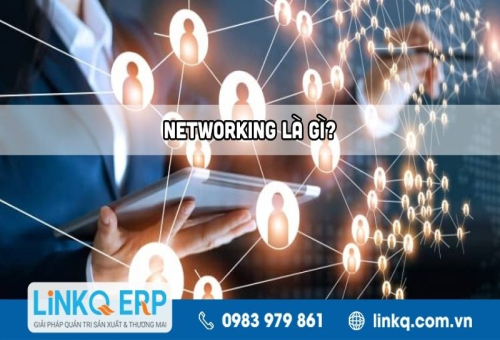 Networking là gì? Bí quyết xây dựng mạng lưới quan hệ