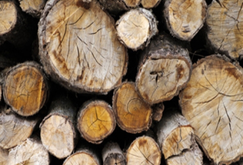 Quy trình sản xuất gỗ tự nhiên